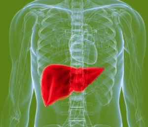 Печеночный тип фигуры